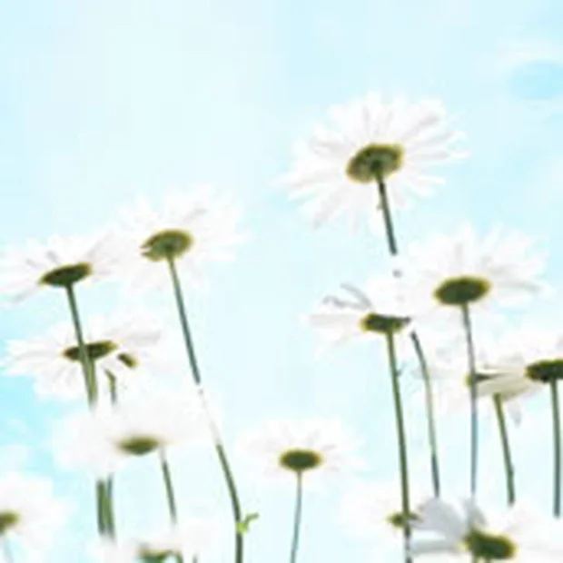 はちのへゆーゆらんど新八温泉（閉館しました）