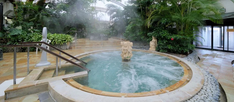 トップメイン画像1