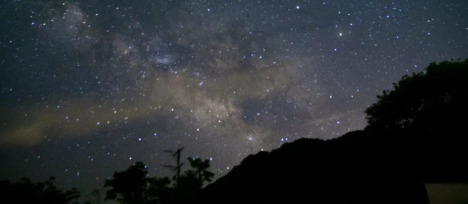 トップメイン画像5