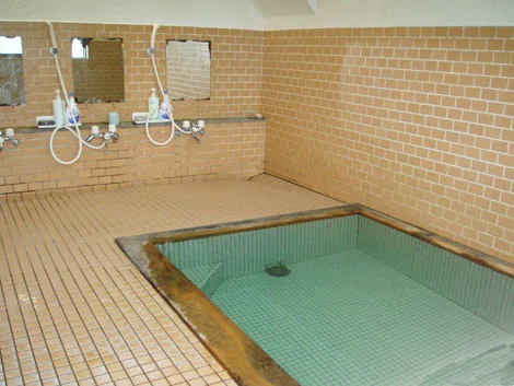 大鰐温泉 料理旅館 福士館 - 青森県