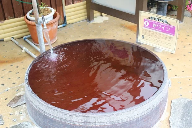 福岡日帰りの旅　まむしの湯（旧 まむし温泉）