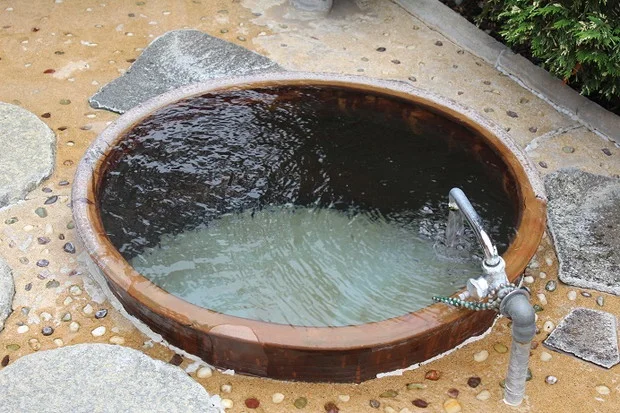 福岡日帰りの旅　まむしの湯（旧 まむし温泉）