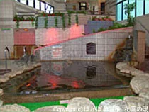 炭酸美肌温泉 らんぷの湯 花園店(閉館しました)