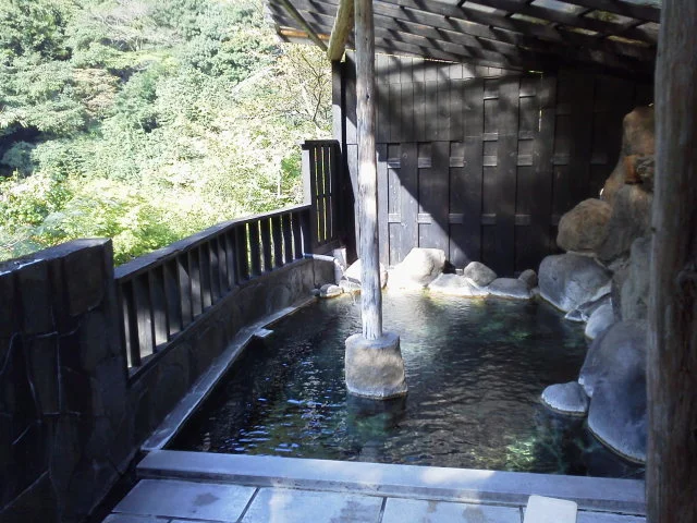 Keisenkaku Inn - Oita