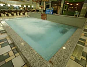 やすらぎの里 豊の国健康ランド(閉館しました)