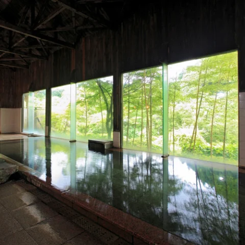 Hoshoji Onsen Hotel Yumotoya - Kuju - Oita
