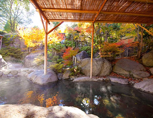 八面山金色温泉
