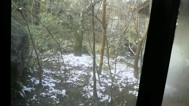 八面山金色温泉