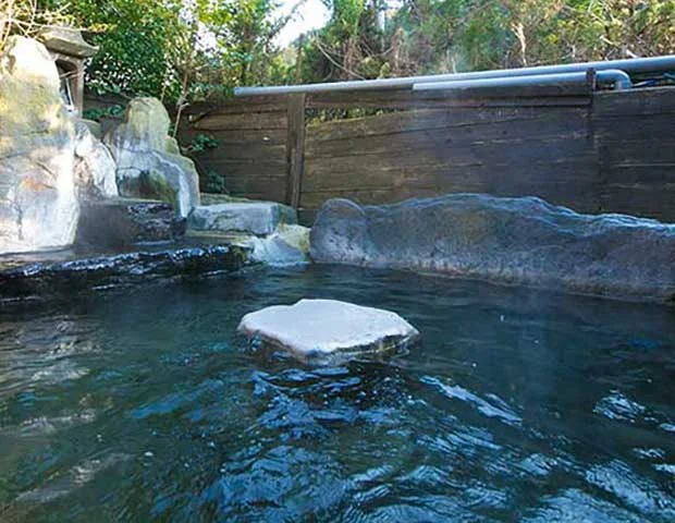 宝泉寺温泉 季の郷 山の湯