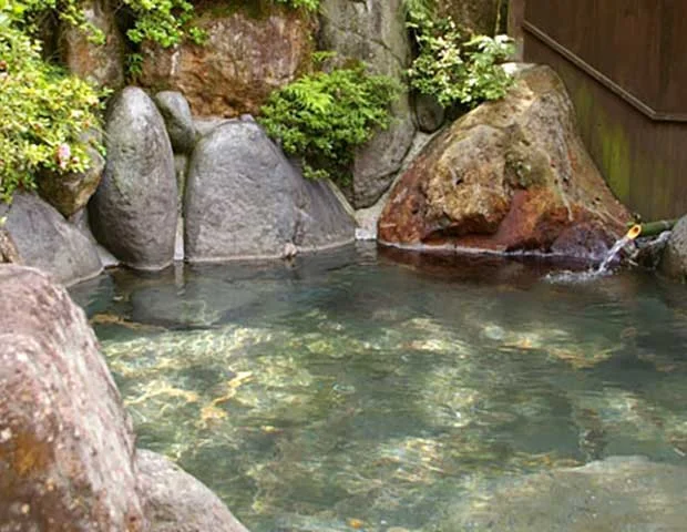 筋湯温泉 たからや旅館