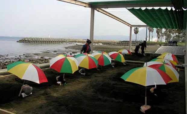 別府海浜砂湯(閉館しました)