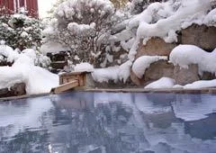 Daiyake Onsen Ryokan Sensuiso - Oita