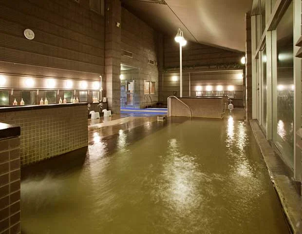 グリーンパークホテルうさ（閉館しました）