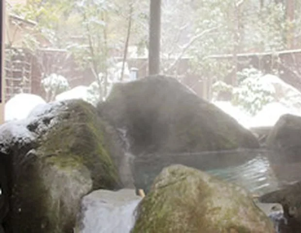 Yufuin Midoriwaku (Formerly SABI-tei Shosen) - Oita