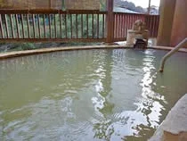長湯温泉療養文化館 御前湯