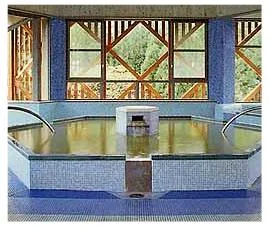 長湯温泉療養文化館 御前湯