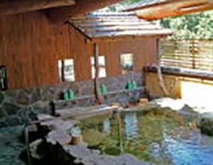 へ屋荘園 でんろくの湯(閉館しました)
