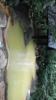 旅館 新清館