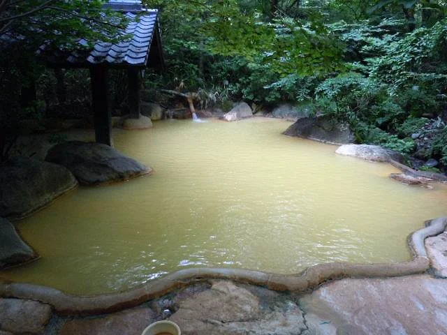 旅館 新清館