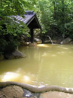 旅館 新清館