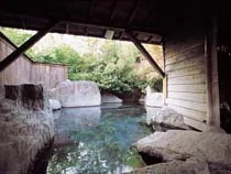 Onyado Nurukawa Hot Spring - Oita