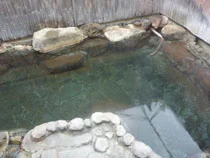 別府温泉 輪帰の宿 天寿荘(閉館しました)