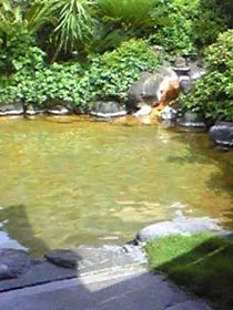 鉄輪温泉 みかゑり温泉