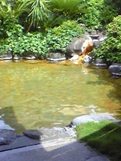 鉄輪温泉 みかゑり温泉