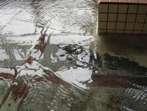 さんない温泉 三内ヘルスセンター