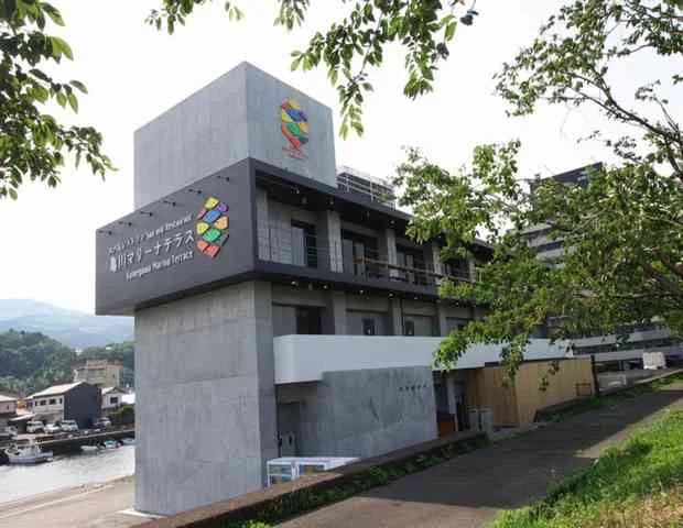 亀川マリーナテラス