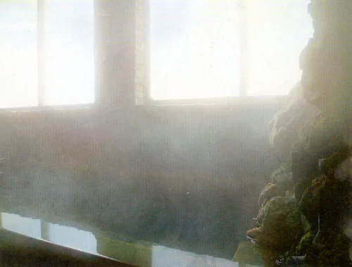 Yubehi Onsen Daiichi Ryokan - Oita