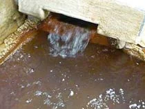 ほていの湯