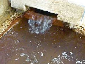 ほていの湯