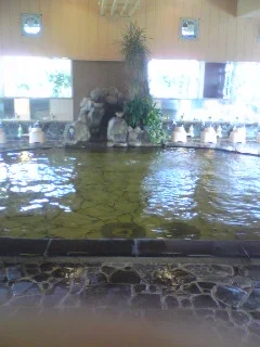 ホテル三泉閣（閉館しました）