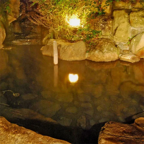 Sunnyu Onsen Ryokan Seifuso - Oita