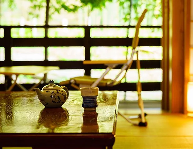 旅庵 蕗薹（ふきのとう）