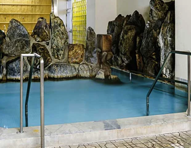 リバーサイドホテル山水館(閉館しました)