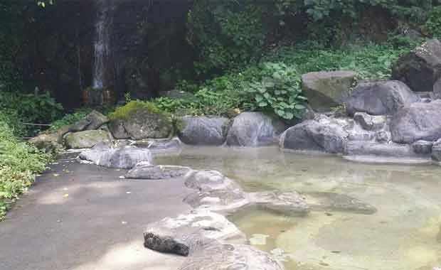 観海寺温泉　いちのいで会館