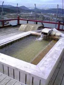 小京都の湯 みくまホテル