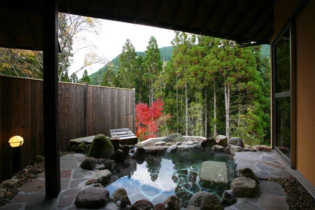 湯平温泉　奥ゆのひら　花灯り - 大分県