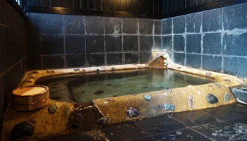 Sunnyu Onsen Hanashinobu - Oita