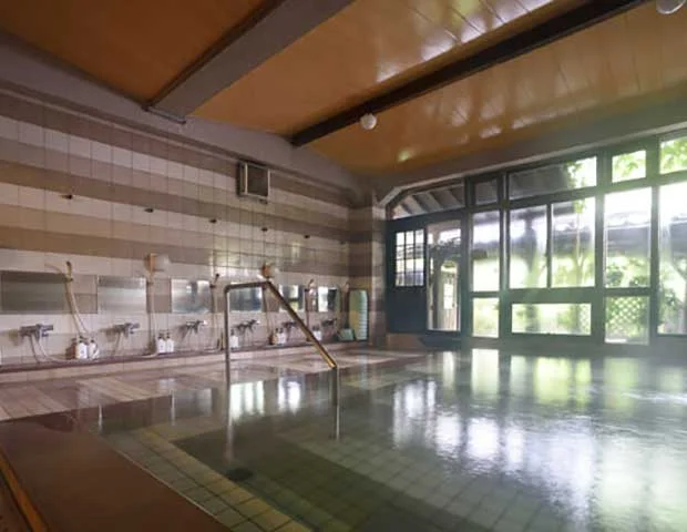 筋湯観光ホテル九重悠々亭