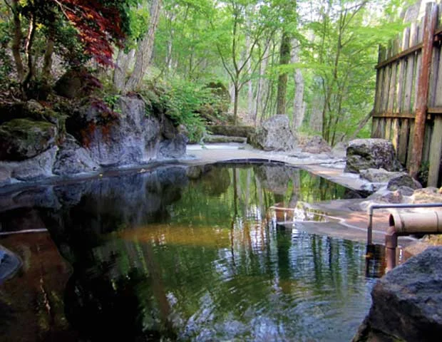 錦谷温泉せせらぎの郷 華じ花