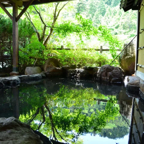 Shirataki Onsen Ryokan - Kokonoe - Oita
