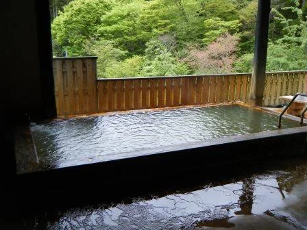 め組茶屋 ソーダの湯