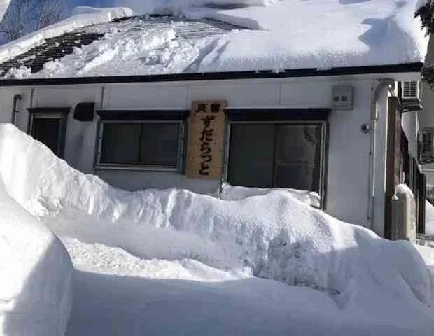 ずだらっと