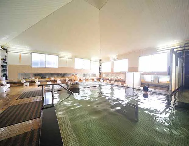 天然温泉掛け流しの宿　ホテルポニー温泉
