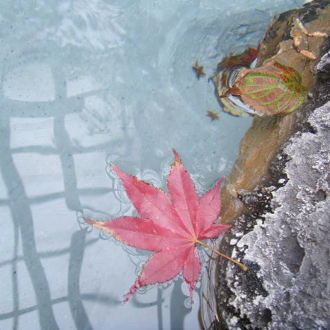 Hosenshi Onsen Hananagomi no Yado Sankouen - Oita