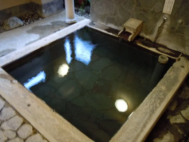 別府温泉 野上本館