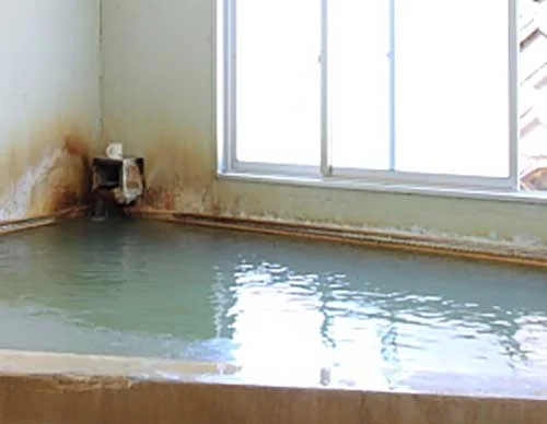 長湯温泉上野屋旅館